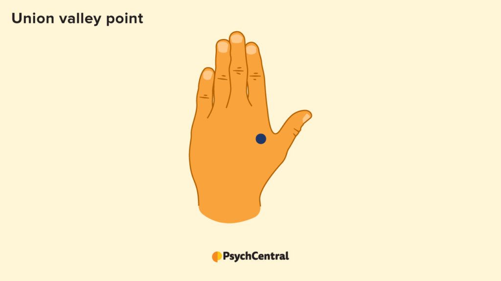 illustration indicating union valley pressure point